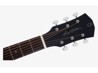 Larry Carlton G5A Natural Larry Carlton G5A Natural